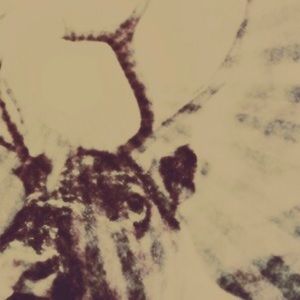 Meet your Posher, Jeffrey